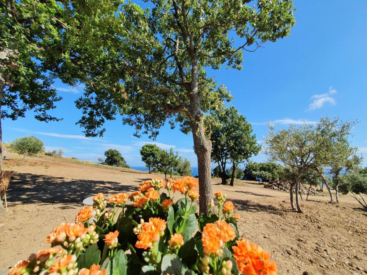 Agriturismo Le Terre Di Venere Acciaroli Exterior foto