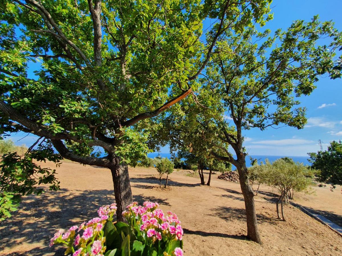 Agriturismo Le Terre Di Venere Acciaroli Exterior foto