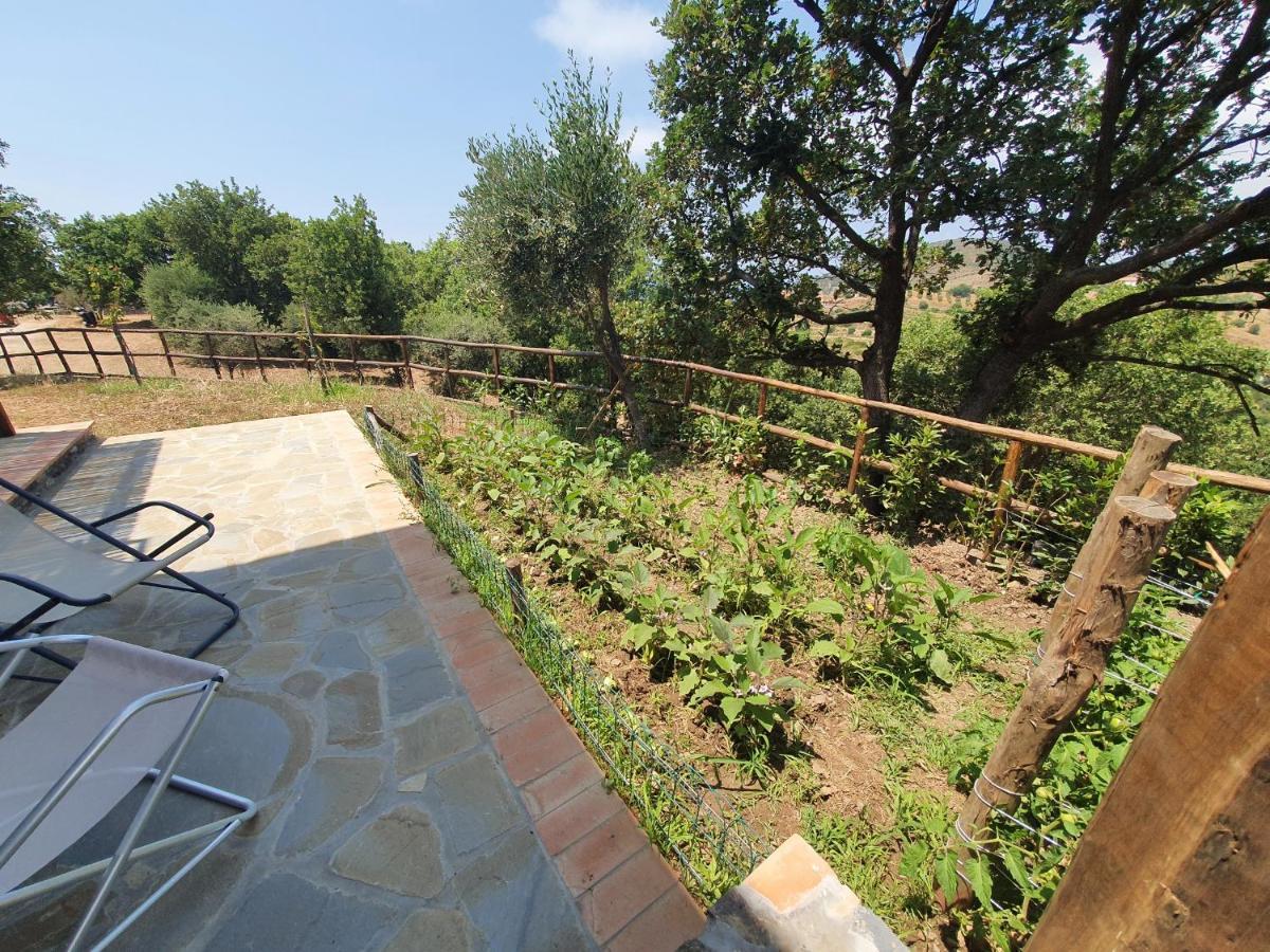 Agriturismo Le Terre Di Venere Acciaroli Exterior foto